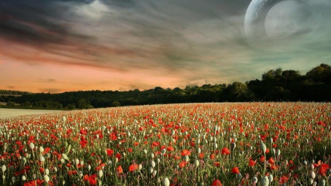 能不能通过养殖方法，把淡水鱼身上***除掉？然后再售卖做刺身，超级爱吃刺身，很害怕寄身虫?